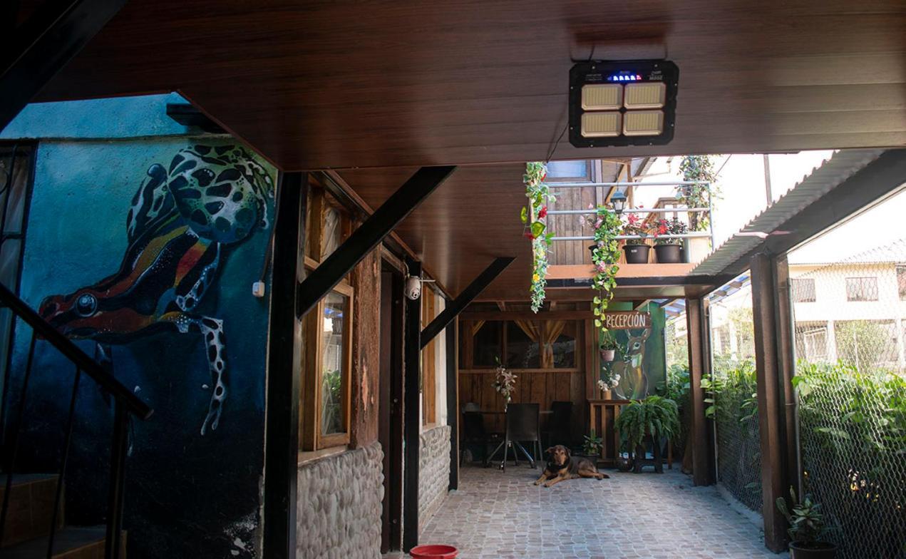 Hostal Los Farolitos Mindo Ngoại thất bức ảnh